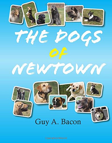 thedogsofnewtown