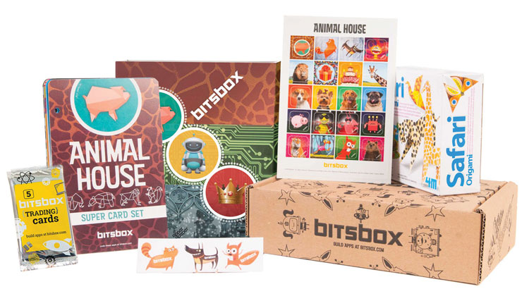 Bitsbox: Teach Your Kids to Code Before Middle School!