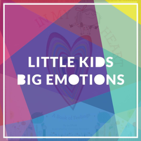 KidLitPicks: Little Kids, Big Emotions 17 Picture Book Recommendations
