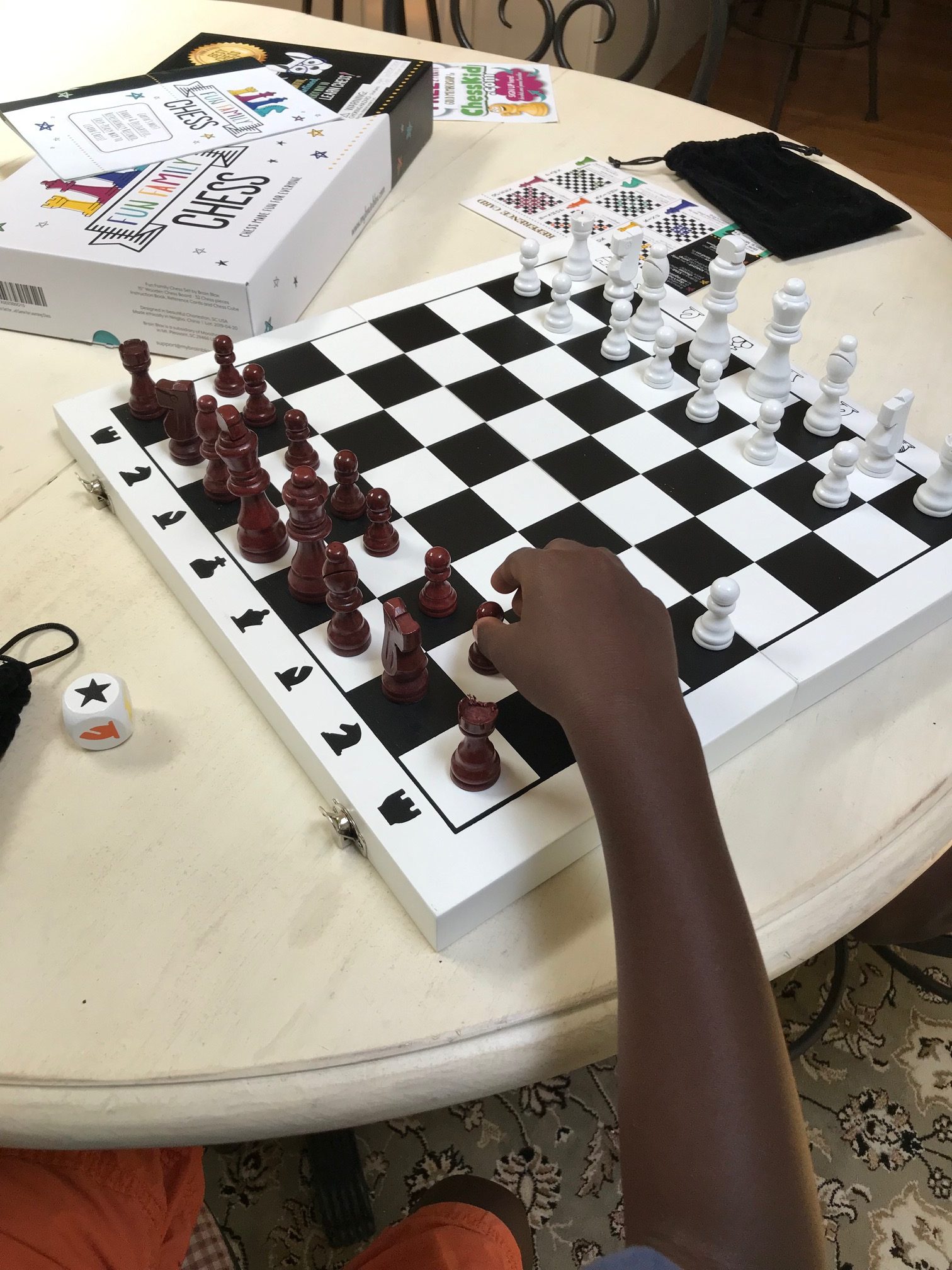 The Easiset Way to Learn How to Play Chess for Ages 5 – 105: Brainblox  Family Fun Chess