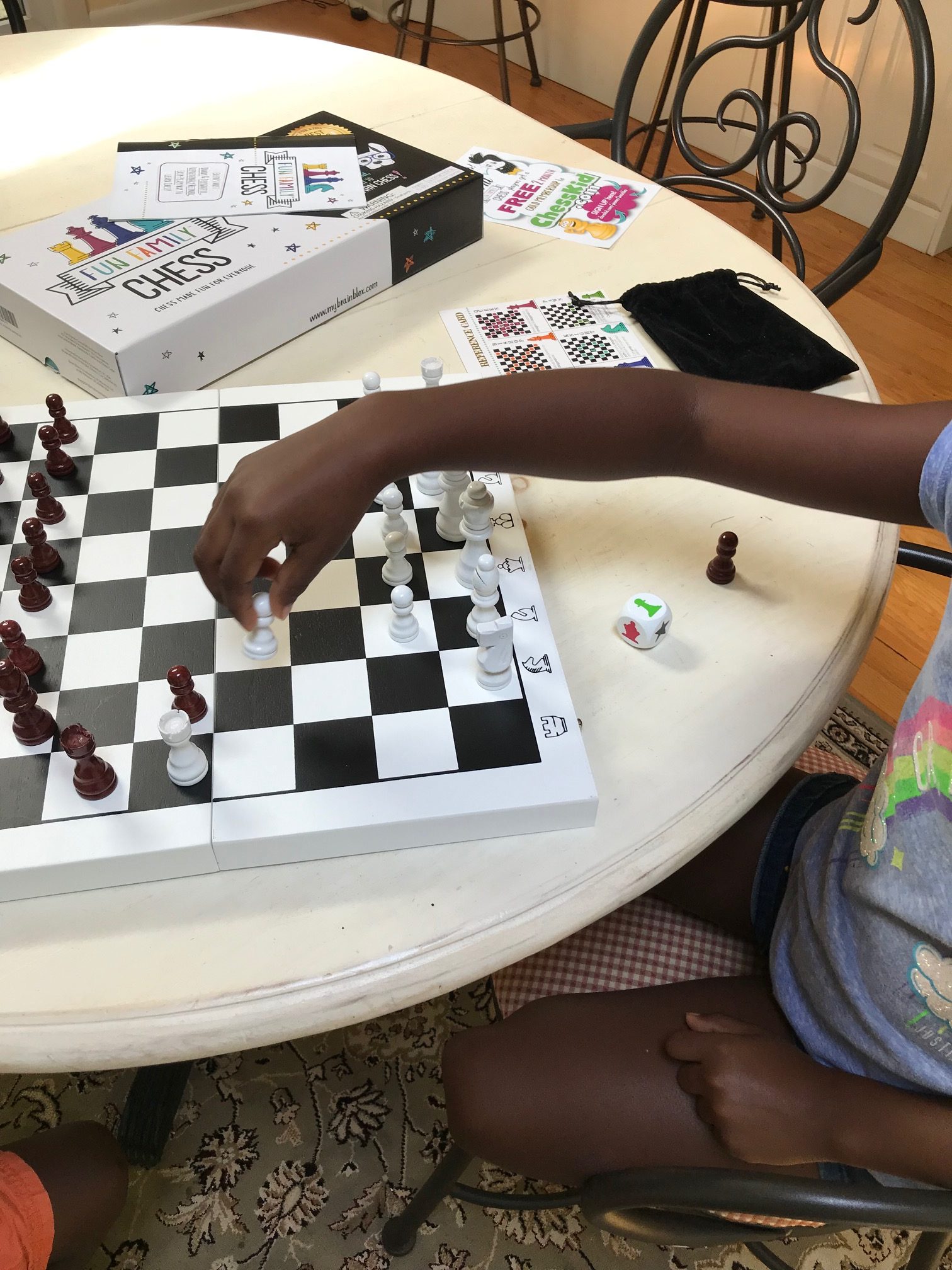 The Easiset Way to Learn How to Play Chess for Ages 5 – 105: Brainblox  Family Fun Chess