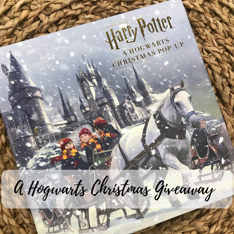 Pre-Owned Hogwarts Through The Years Poster Book Harry Potter